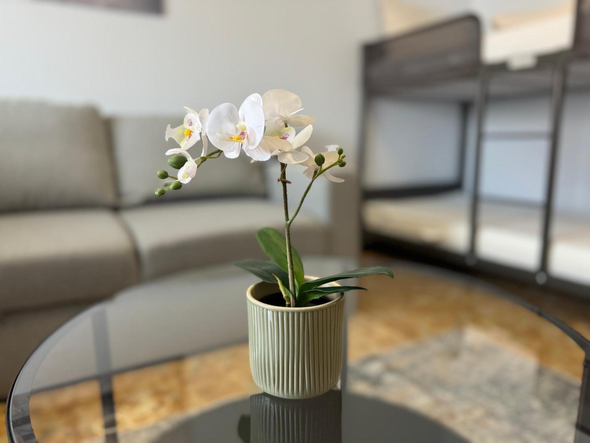 Casa Albenga Apartman Kültér fotó